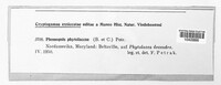 Phomopsis phytolaccae image